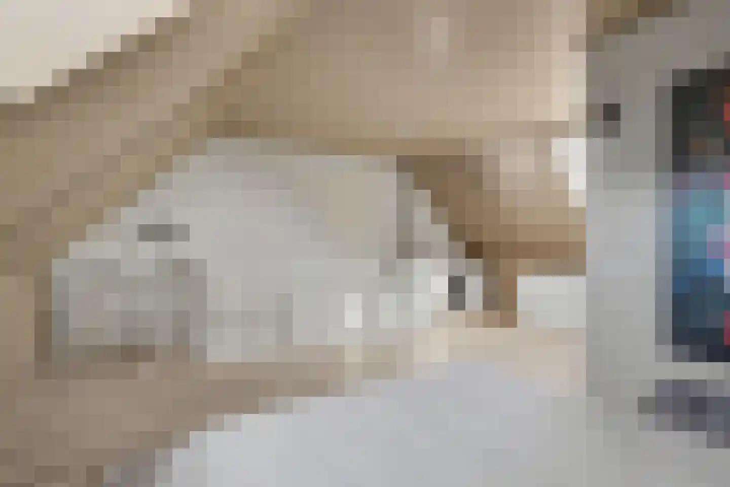 Kroesestraat 23 Almelo thumbnail 27