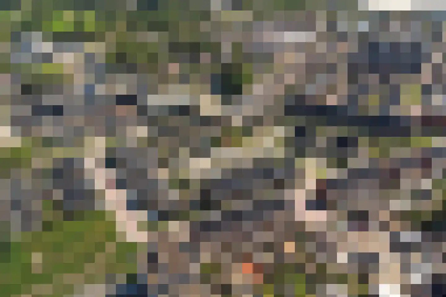 Kroesestraat 23 Almelo thumbnail 38