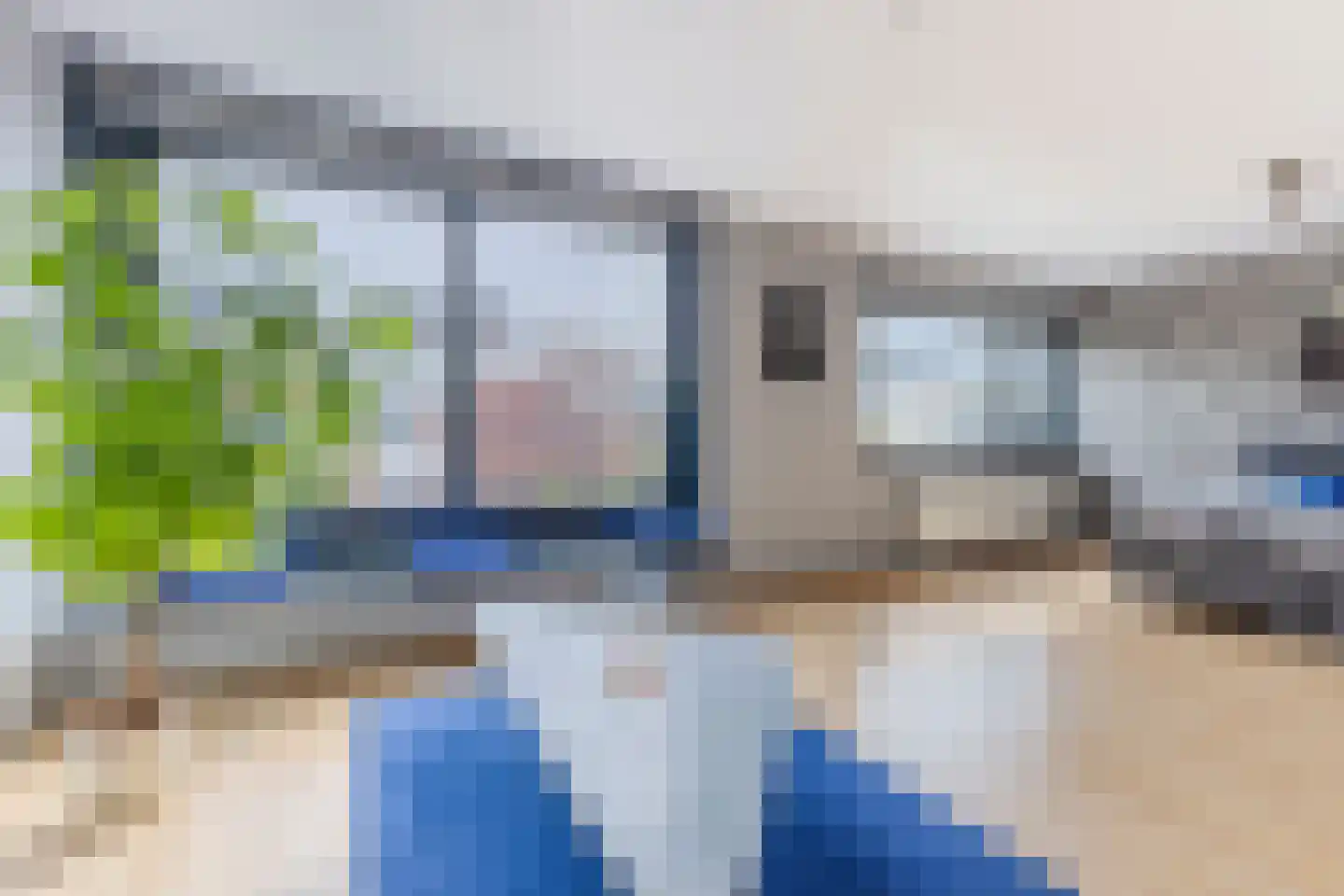 Kroeskarper 15 Krommenie thumbnail 15