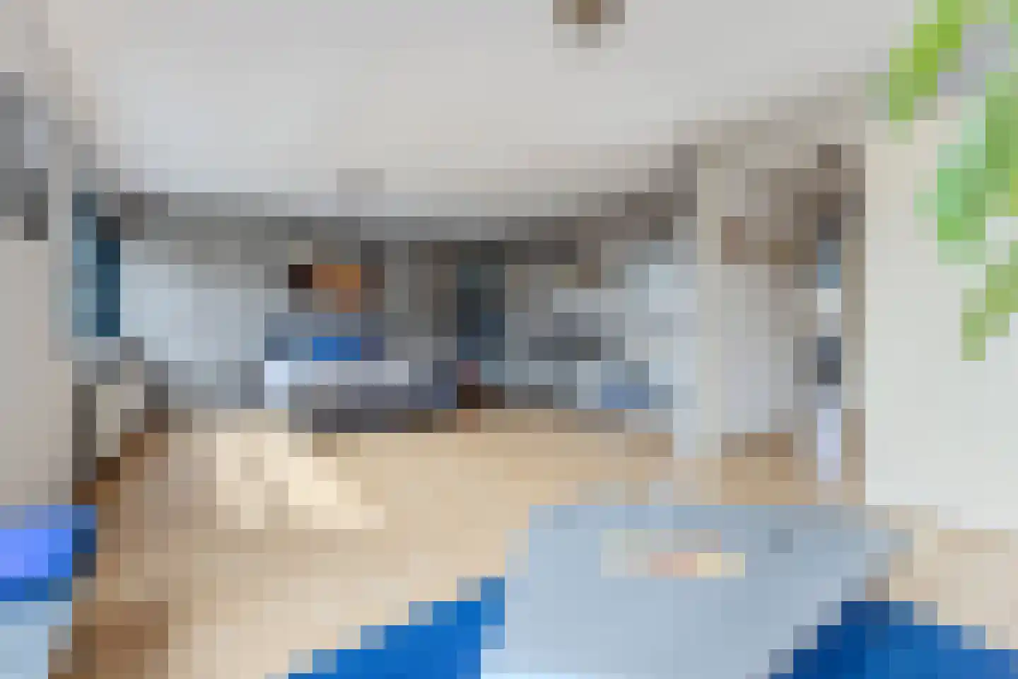 Kroeskarper 15 Krommenie thumbnail 16