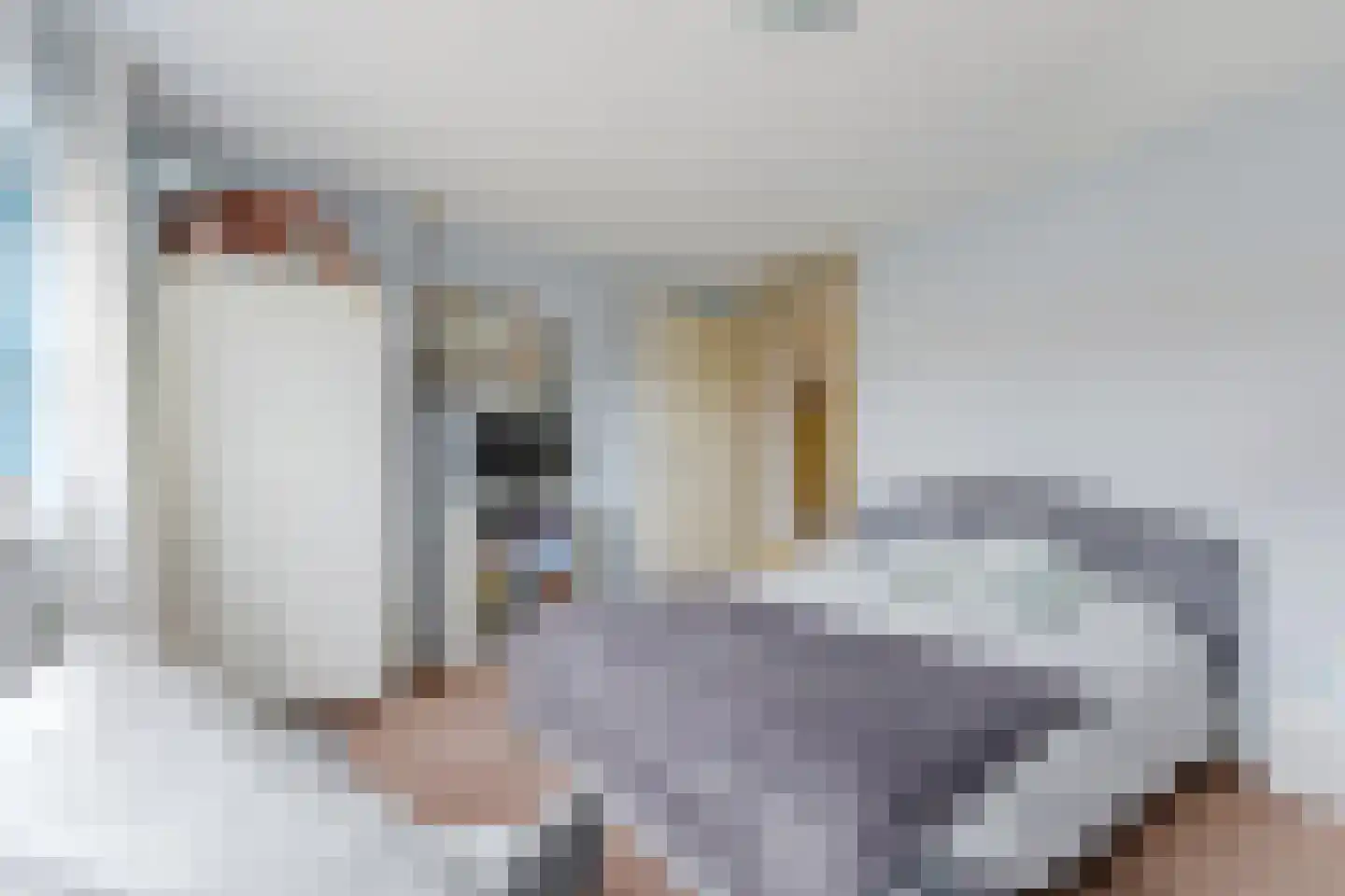 Kroeskarper 15 Krommenie thumbnail 18