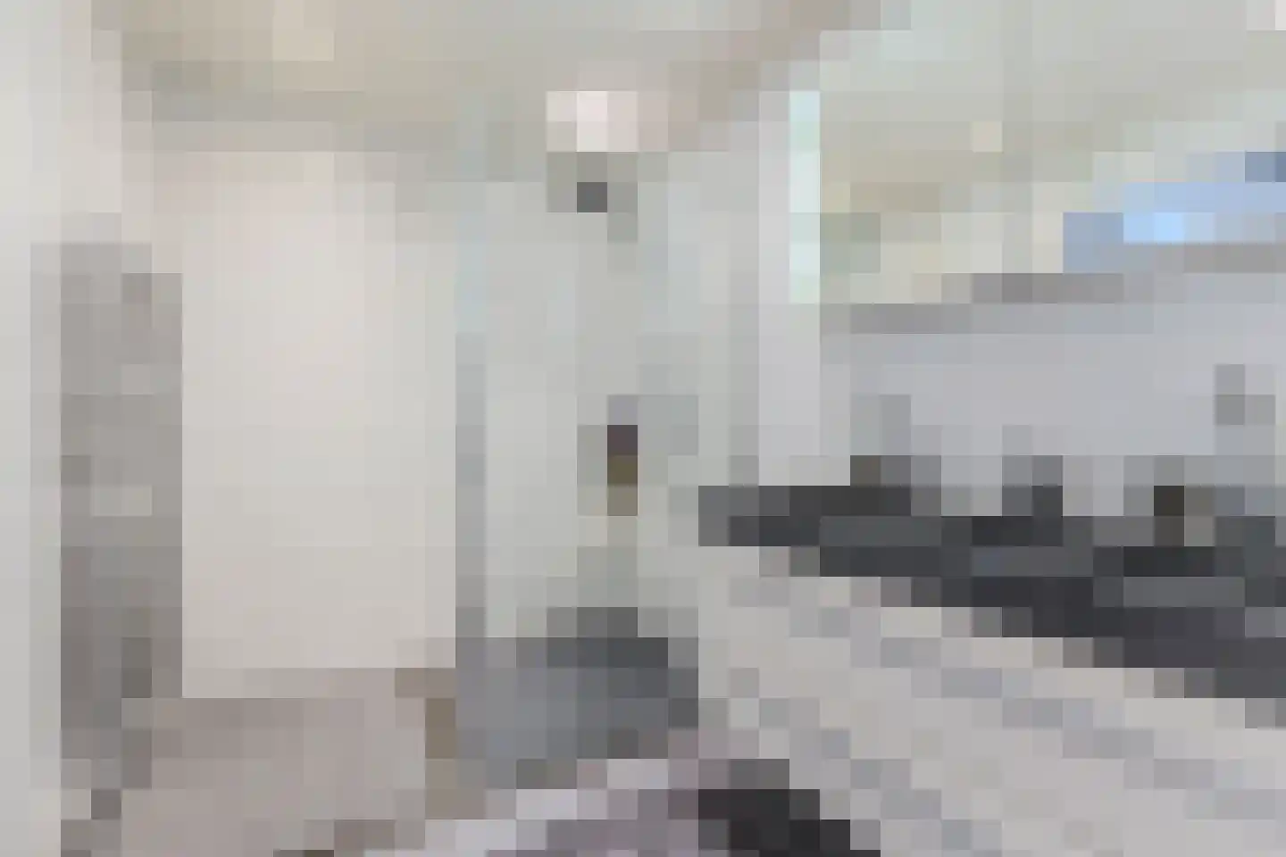 Kroeskarper 15 Krommenie thumbnail 21