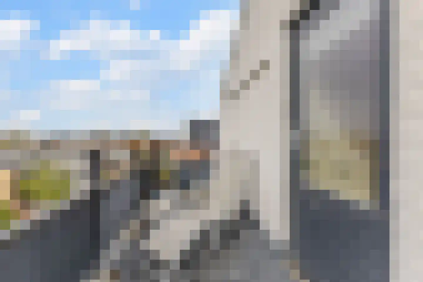 Kroeskarper 15 Krommenie thumbnail 27