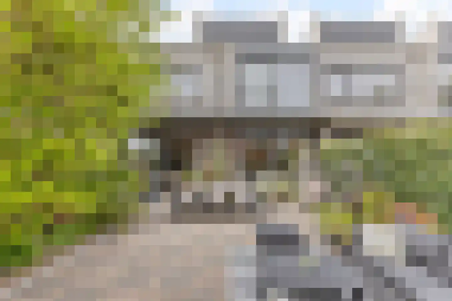 Kroeskarper 15 Krommenie foto 3