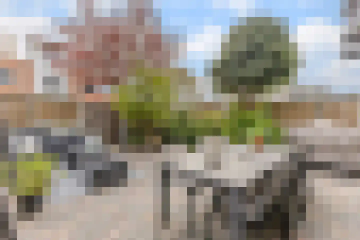 Kroeskarper 15 Krommenie thumbnail 32
