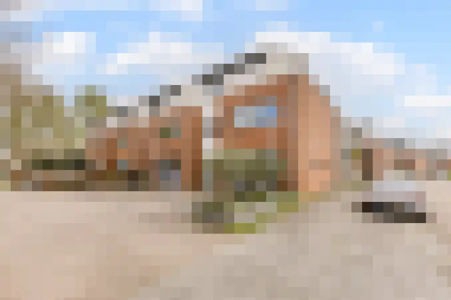 Kroeskarper 15 Krommenie thumbnail 33