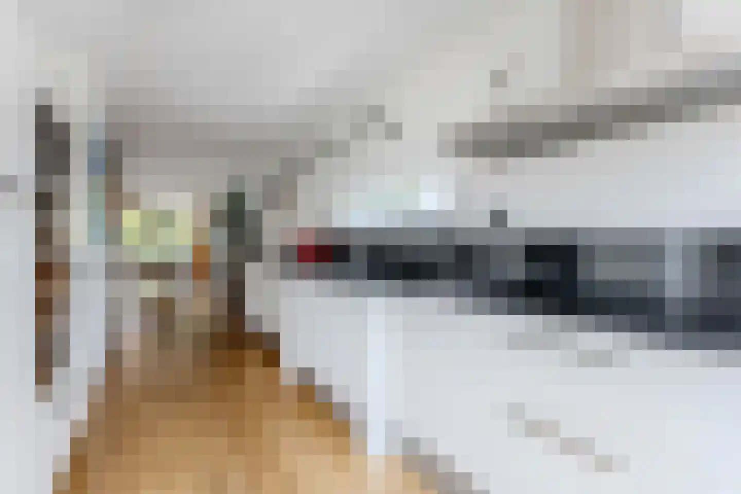 Kroeskarper 15 Krommenie thumbnail 6