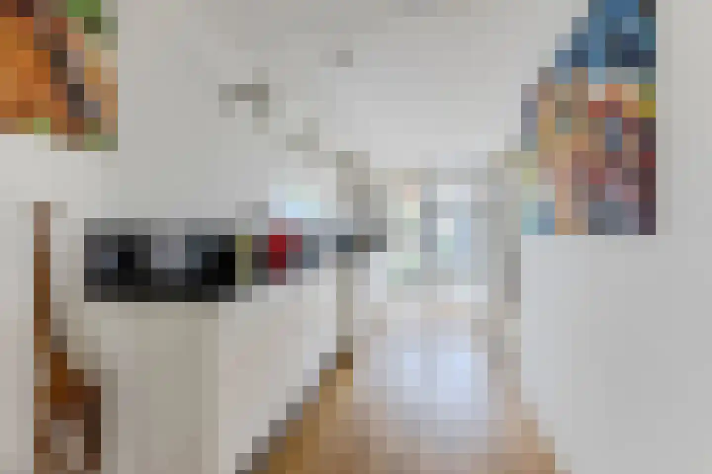 Kroeskarper 15 Krommenie thumbnail 7