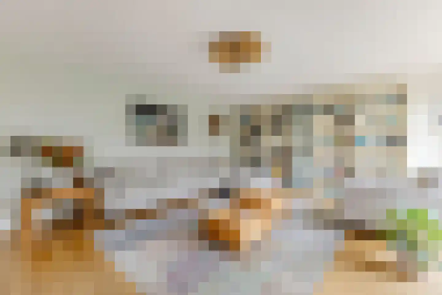 Kroeskarper 15 Krommenie thumbnail 8