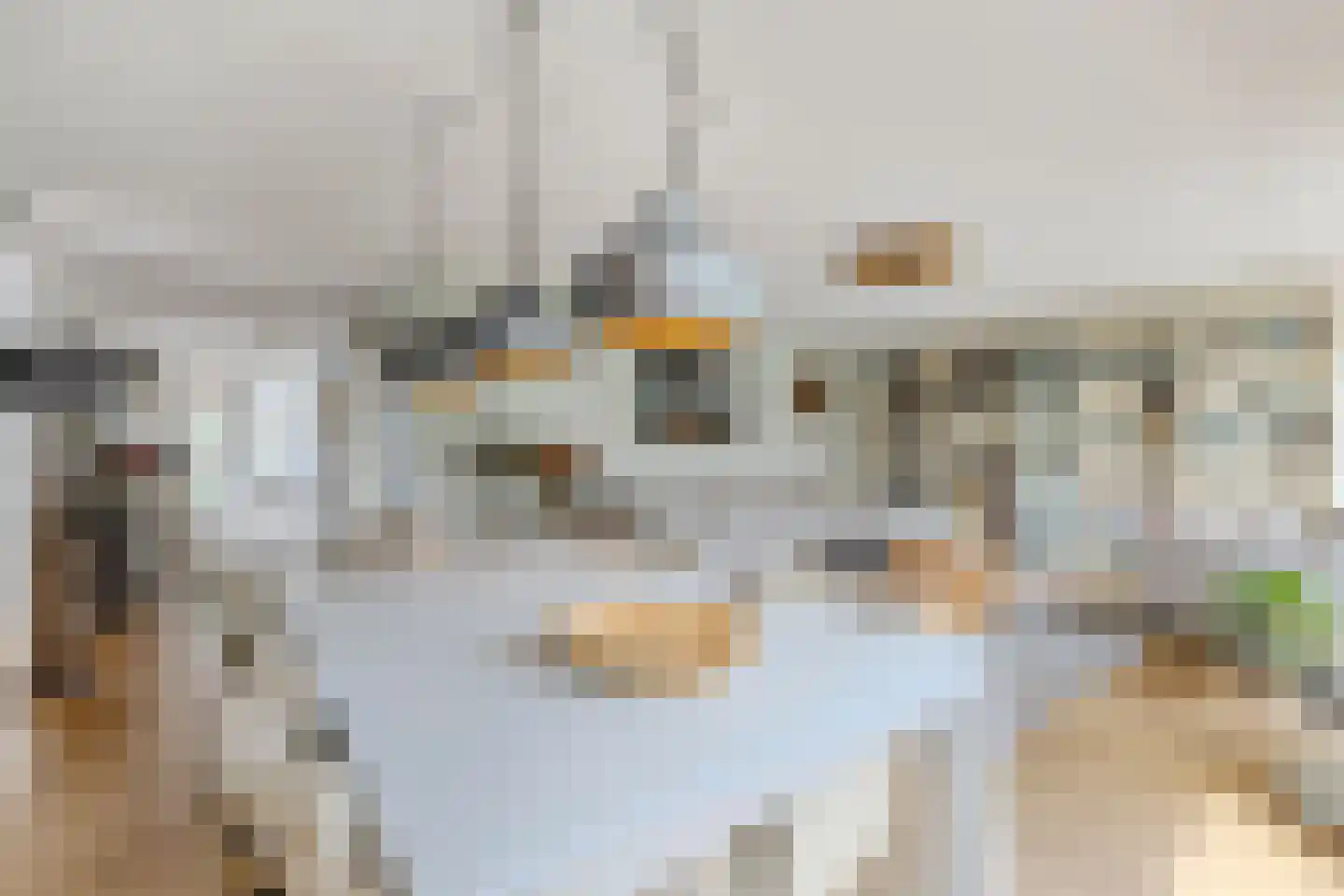 Kroeskarper 15 Krommenie thumbnail 9