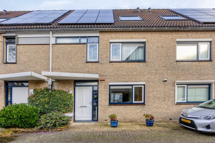 Kroeskarper 7 in Leiden photo