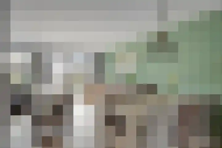 Kroeskarper 7 Leiden thumbnail 10