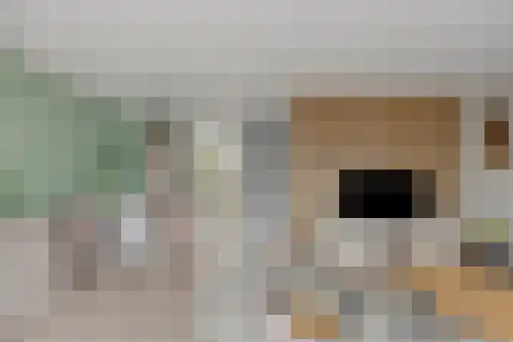 Kroeskarper 7 Leiden thumbnail 12