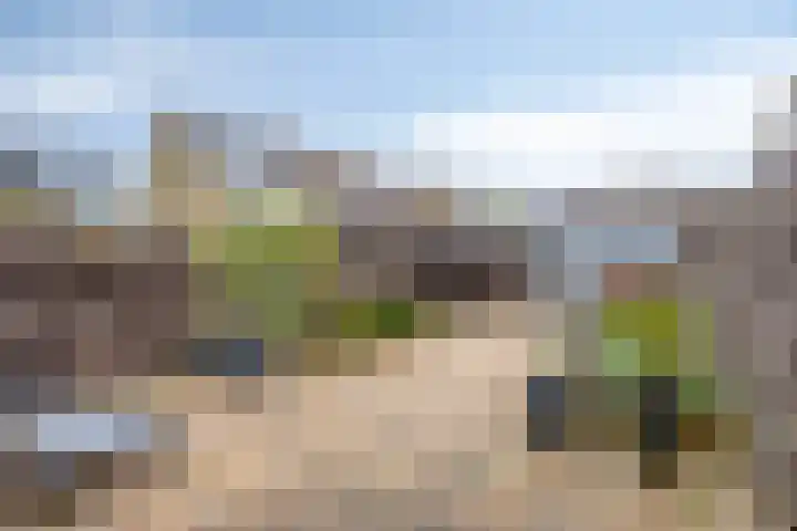 Kroeskarper 7 Leiden thumbnail 15