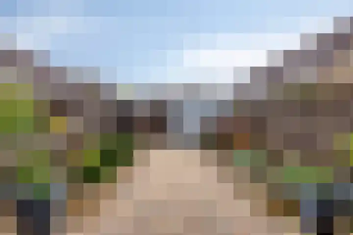 Kroeskarper 7 Leiden thumbnail 16