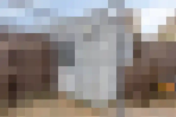 Kroeskarper 7 Leiden thumbnail 17