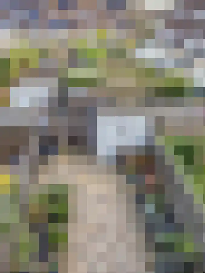 Kroeskarper 7 Leiden thumbnail 19