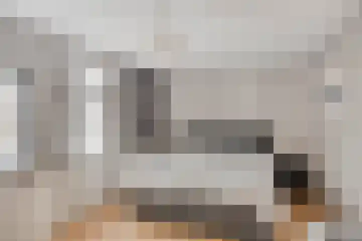 Kroeskarper 7 Leiden thumbnail 22