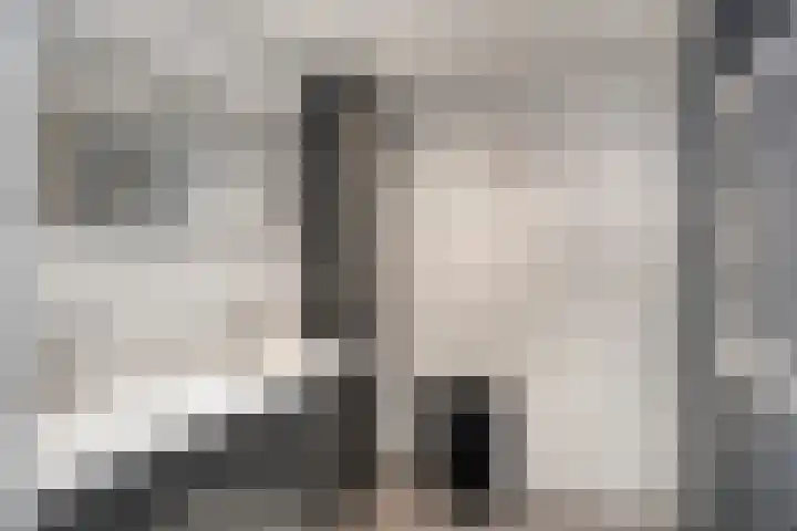 Kroeskarper 7 Leiden thumbnail 24