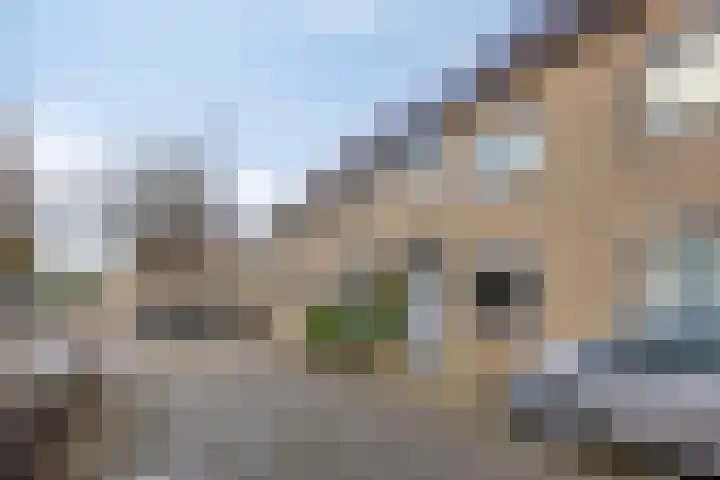 Kroeskarper 7 Leiden thumbnail 39