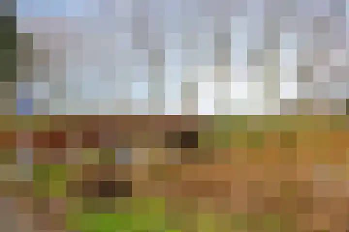 Kroeskarper 7 Leiden thumbnail 40