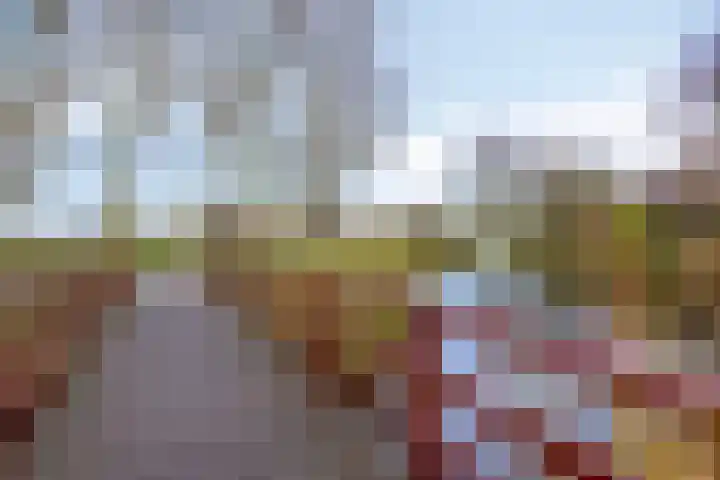 Kroeskarper 7 Leiden thumbnail 41
