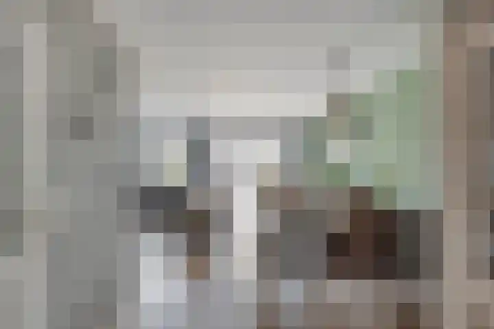 Kroeskarper 7 Leiden thumbnail 9