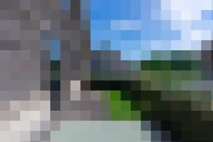 Kroeskarperlaan 106 Voorhout thumbnail 19