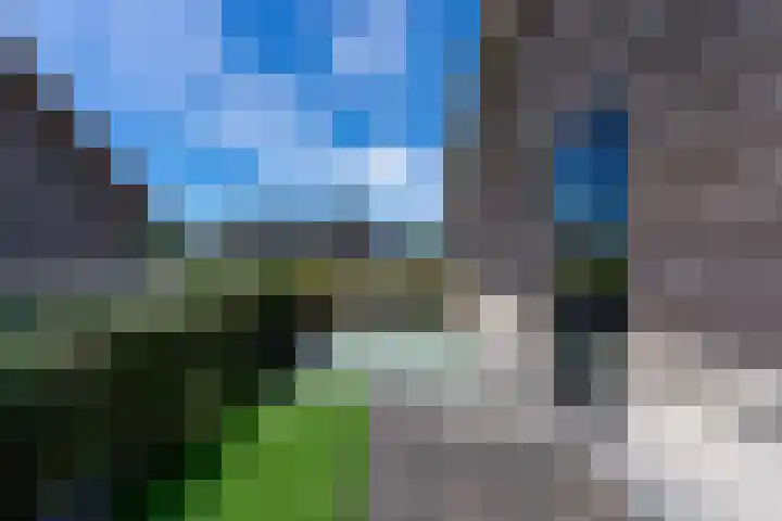Kroeskarperlaan 106 Voorhout thumbnail 20