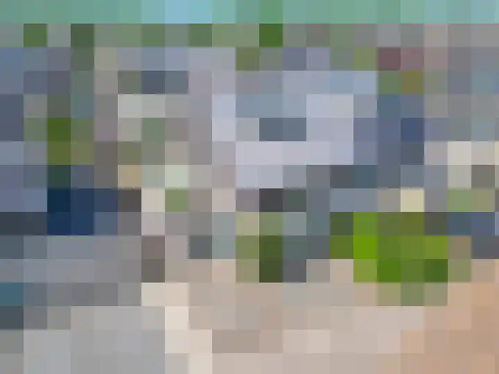 Kroeskarperlaan 106 Voorhout thumbnail 37