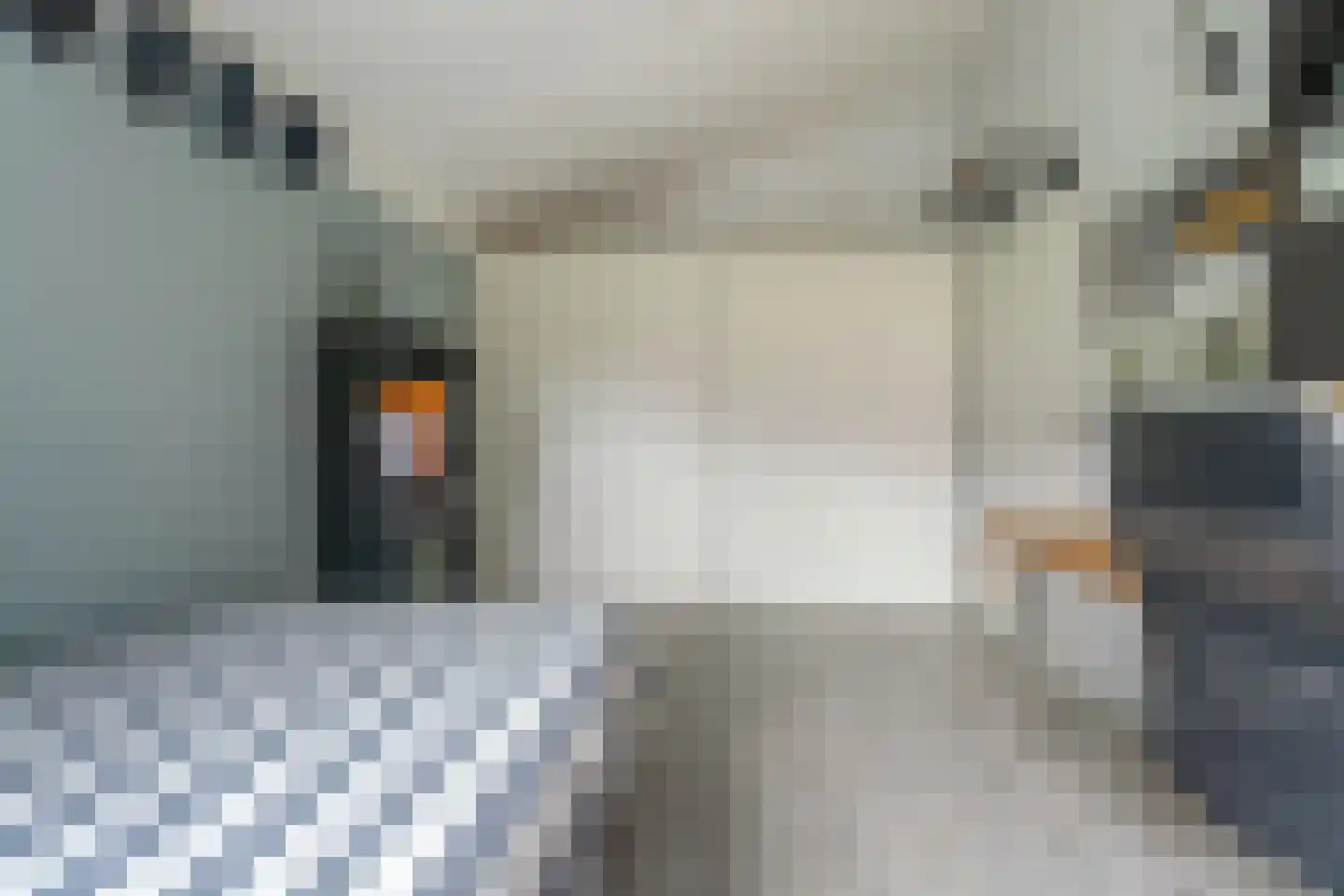 Kroeskarperlaan 27 Voorhout thumbnail 31