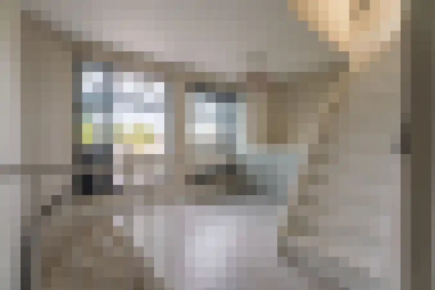 Kroeskarperlaan 27 Voorhout thumbnail 39