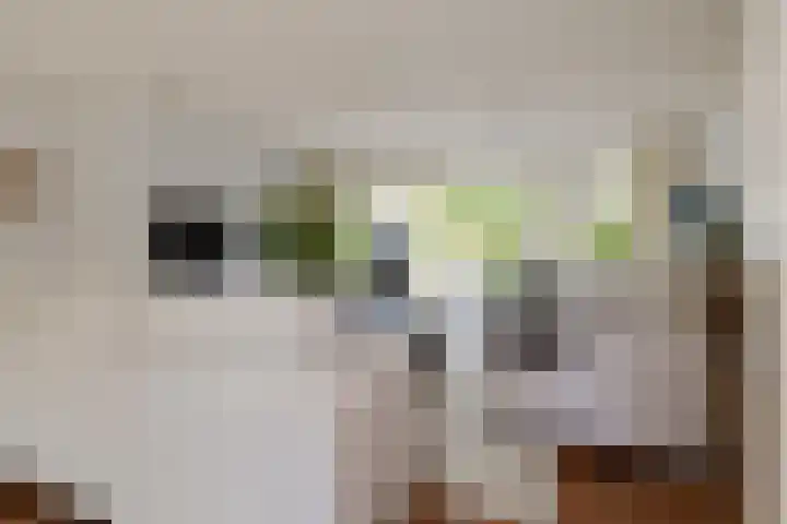 Kroeskarperlaan 34 Voorhout thumbnail 10