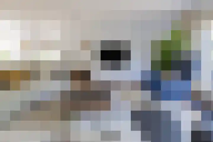 Kroeskarperlaan 34 Voorhout thumbnail 12