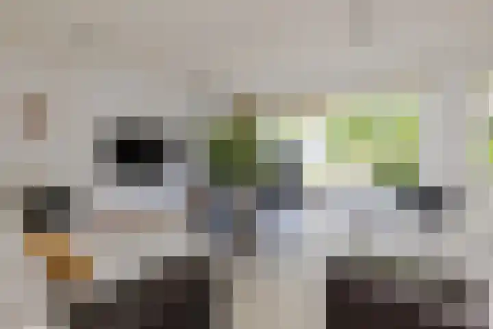 Kroeskarperlaan 34 Voorhout thumbnail 13