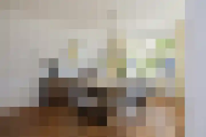 Kroeskarperlaan 34 Voorhout thumbnail 17