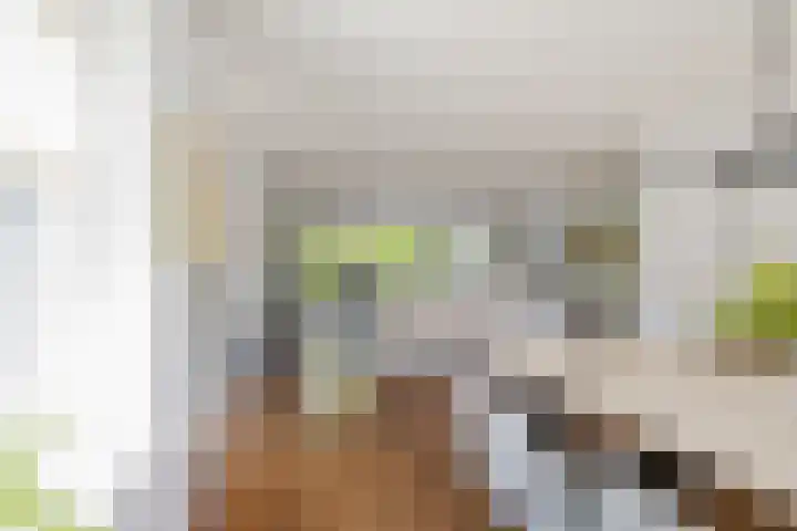 Kroeskarperlaan 34 Voorhout thumbnail 18