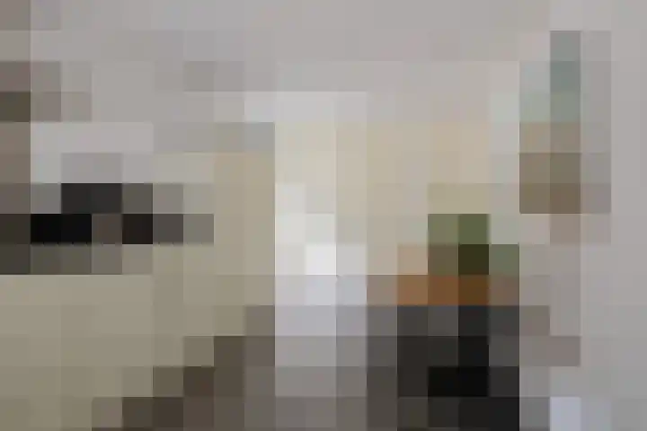 Kroeskarperlaan 34 Voorhout thumbnail 21