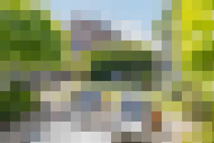 Kroeskarperlaan 34 Voorhout thumbnail 44