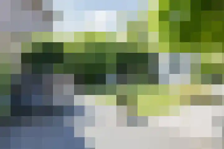 Kroeskarperlaan 34 Voorhout thumbnail 46