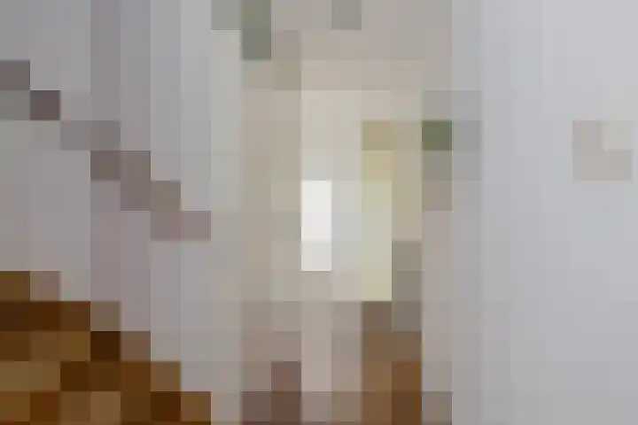 Kroeskarperlaan 34 Voorhout thumbnail 8