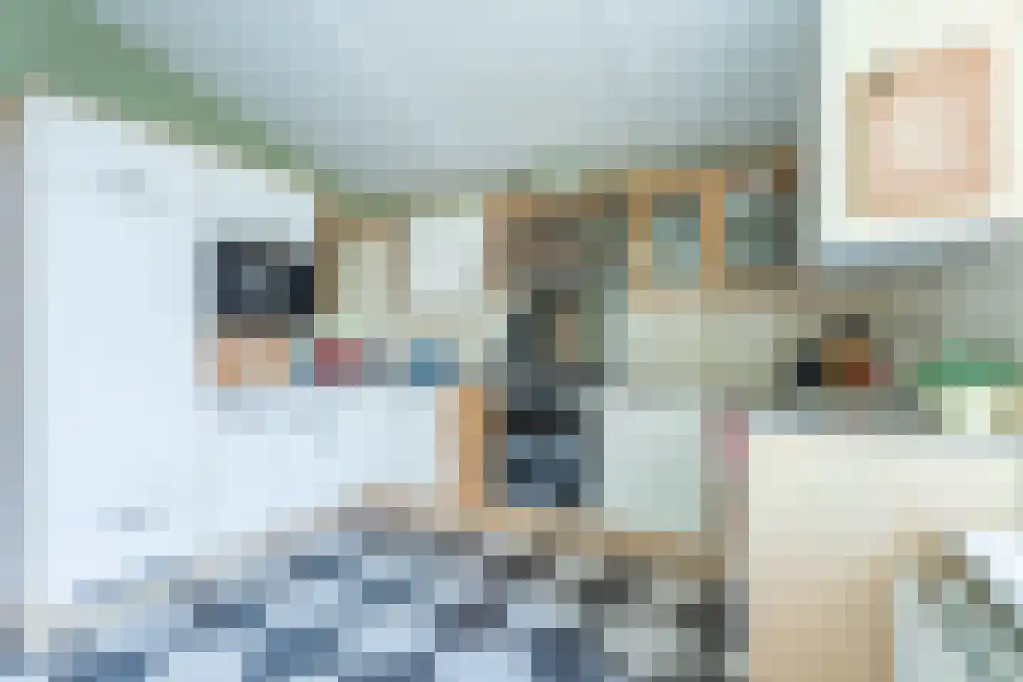 Kroeskarperlaan 90 Voorhout thumbnail 9