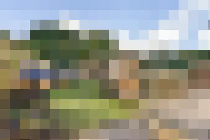 Kroeskarperlaan 94 Voorhout thumbnail 11