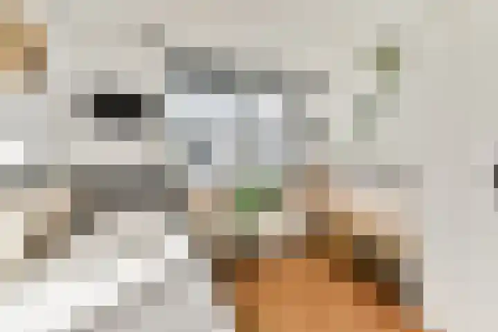 Kroeskarperlaan 94 Voorhout thumbnail 21