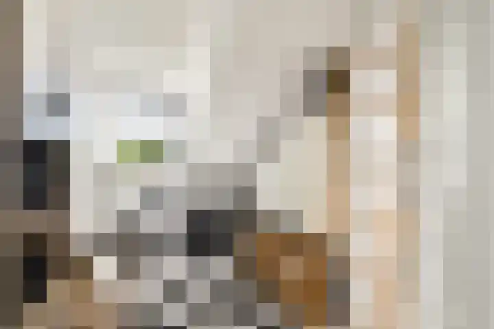 Kroeskarperlaan 94 Voorhout thumbnail 29