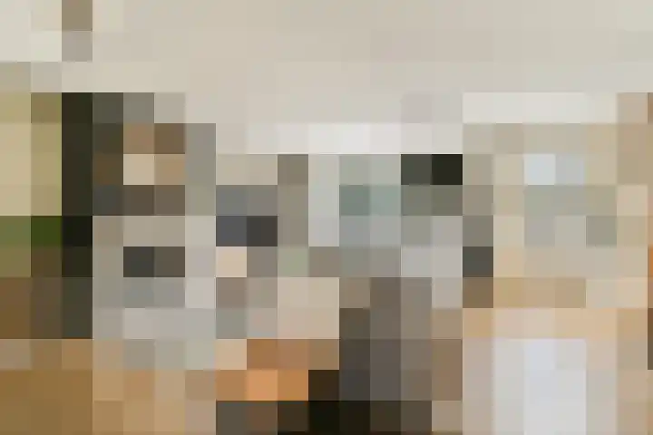 Kroeskarperlaan 94 Voorhout thumbnail 4