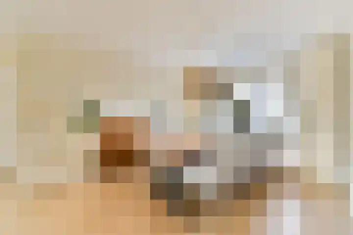 Kroeskarperlaan 94 Voorhout thumbnail 8