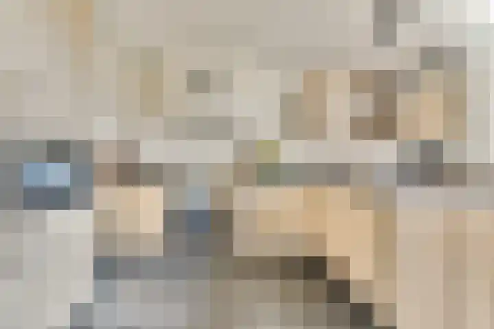 Kroeskarperlaan 94 Voorhout thumbnail 9
