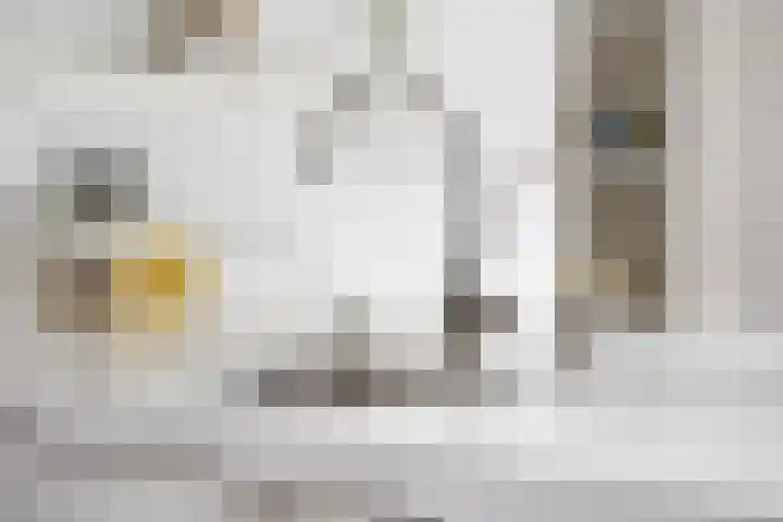 Kroeskarperstraat 22 Hengelo thumbnail 24