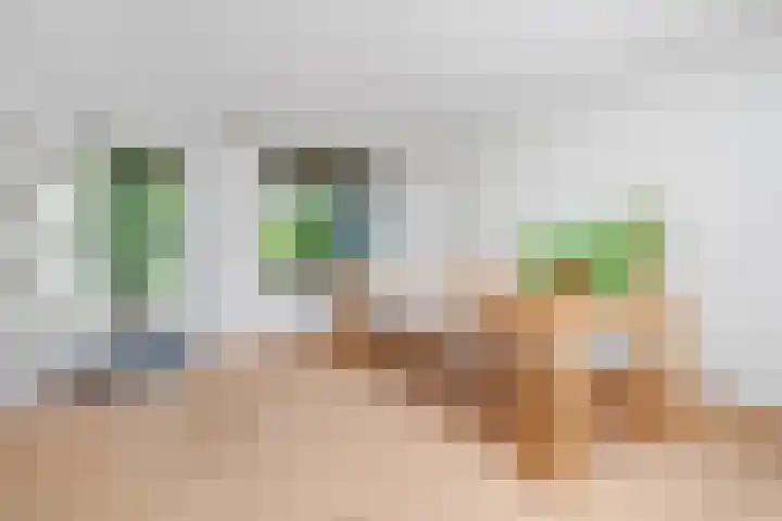 Kroeskarperstraat 22 Hengelo thumbnail 31